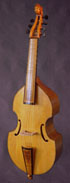 Viola da Gamba